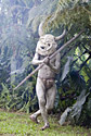 PNG_08_trip_report