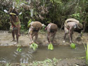 PNG_08_trip_report