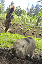 PNG_08_trip_report