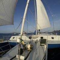 Cuan Law, BVIs