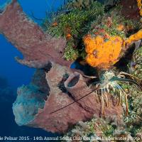 COZ_7-15_Palancar_Caves_076