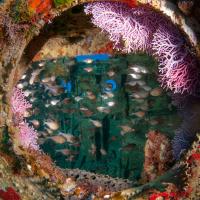 CZM2016_Wrecks_290