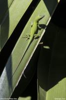 Cienfuegos_008