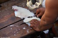 Cuba_Sail_2017_055