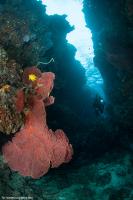 fiji_031