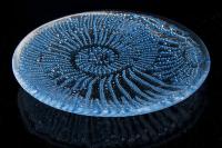 glass_underwatercolours_002