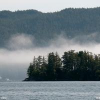 Gods_Pocket_041