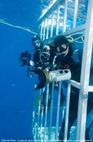 Guadalupe_Island_006