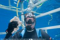 Guadalupe_Island_010