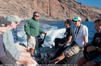 Guadalupe_Island_023