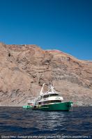 Guadalupe_Island_024