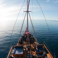 Komodo_2012_003