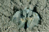raja_ampat_027