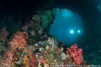 raja_ampat_034