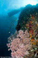 raja_ampat_036