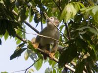 NAPO_SS_013
