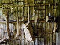 NAPO_SS_050