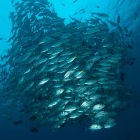 Palau_2014_004