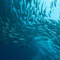 Palau_2014_007