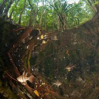 Palau_2014_031
