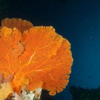 Palau_2014_042