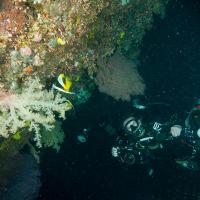 Palau_2014_043