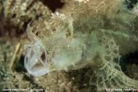 ImageMakers_016