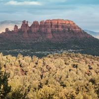 _DSC8662
