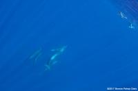 socorro_2017_003