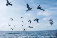 socorro_2014_025