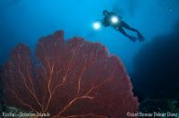 Solomons_2016_Kitcha_022